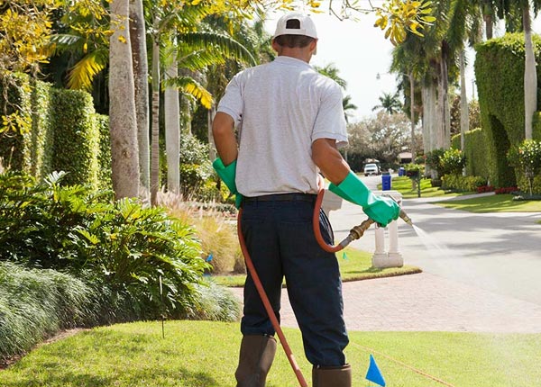About Southport NC Pest Control
